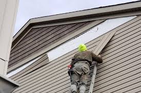 Best Siding for New Construction  in Bronson, FL